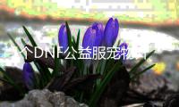 5个DNF公益服宠物升级小技巧