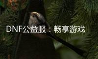 DNF公益服：畅享游戏乐趣，无需花费一分钱！